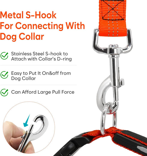 LED Light Up Dog Leash, USB Rechargeable, 3 Lighting Modes, Glow in The Dark for Pets
