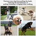 BARKLESS Dog Head Collar, No Pull Head Halter with Soft Padding for Large Medium Small Dogs