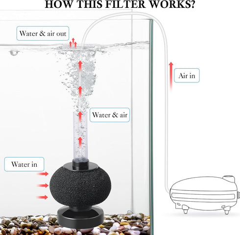 HITOP 2 Pack Mini Air-Powered Bio Sponge Filter, 4in Quiet Filter for up to 15 Gallon Fish Tank