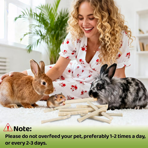 240g Chinchilla Sukh Sweet Bamboo Chew Sticks - Rabbit Chew Sticks & Bamboo Sticks for Rabbits, Natural Bunny Bamboo