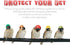 Skylety 8 Pieces Hens Helmet, Chicken Pet Safety Helmet, Funny Bird Hat Headwear for Chicken, Parrot, Parakeet
