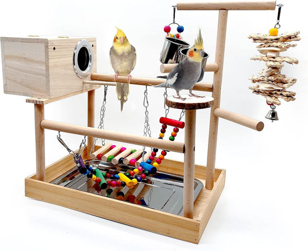 kathson Bird Playground,Parrot Play Stand,Parakeet Play Gym with Breeding Box and Food
