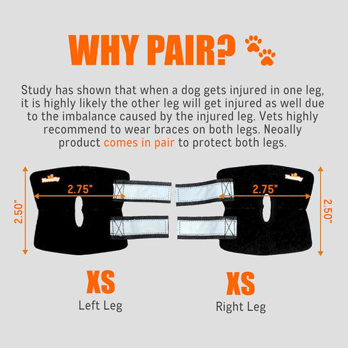 NeoAlly Cat and Dog Ankle Brace Pair - Canine Rear Leg Hock Support with Reflective Straps for Injuries (XS Pair)