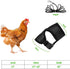 4 Pcs Adjustable Chicken Harness with Leash - Comfortable Hen Vest, Breathable Mesh Training Harness for Small Pets