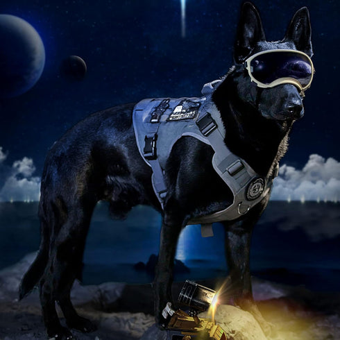 Tactical Dog Training Vest No Pull Harness - Adjustable Dog Hiking Working Vest for Dogs (Grey, Medium)