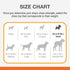 Nylabone Strong Chew Cone Stuffable Chew Toy for Dogs, Bacon Flavored Fillable Treat Toy, Small/Regular - Up to 25 Ibs