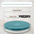 Ant Proof Cat Dog Bowl Tray, 2024 New Innovation Anti Ant Pet Food Dish Indoor, No Chemical Needed, Turquoise Green