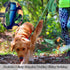 BTINESFUL Dog Tie-Out Long Tether Rope Leash, 8ft/12ft/20ft/30ft/50ft/75ft for Large Medium Small Dogs Training