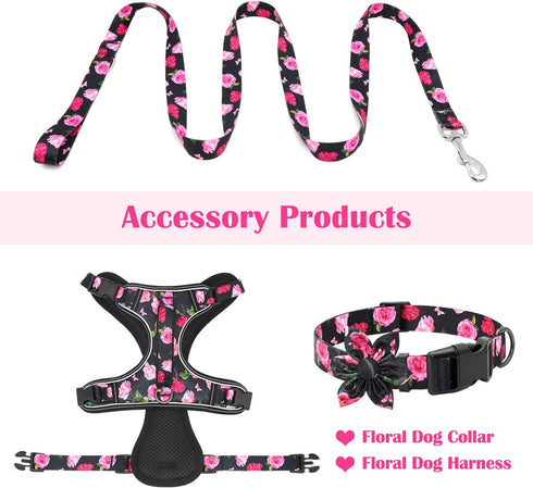 5 ft Black Dog Leash for Medium Breed Dogs, Girl