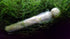Planaria Trap, 2 Pieces Leech Trap Glass Tube for Aquarium Shrimp Tank