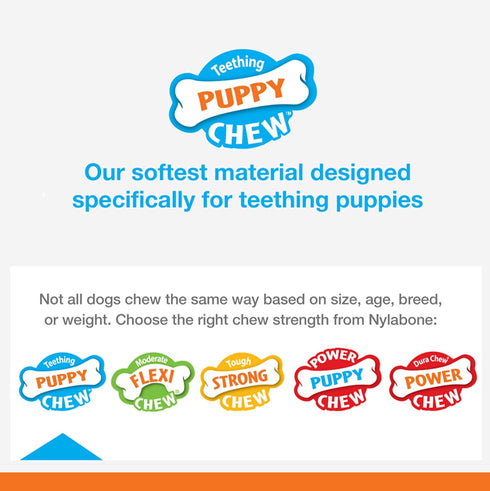 Nylabone Puppy Stages Chew Toy Pack - Puppy Chew Toys for Teething, Chicken, Maple Bacon, Beef Jerky Flavors (3 Count)