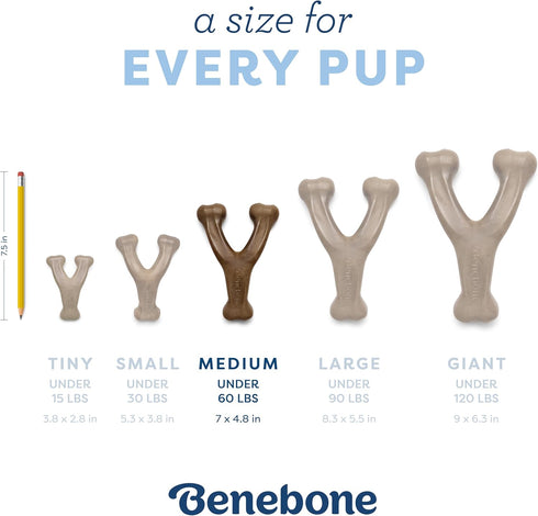Benebone Puppy Wishbone Durable Chew Toy for Gentle Chewers, Real Bacon Flavor, Made in USA, Medium Size