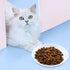 2 Pcs Cat Bowls, Wide & Shallow Ceramic Dishes for Whiskey Fatigue Relief, 15cm/6’’ Cute Fish Bone Design