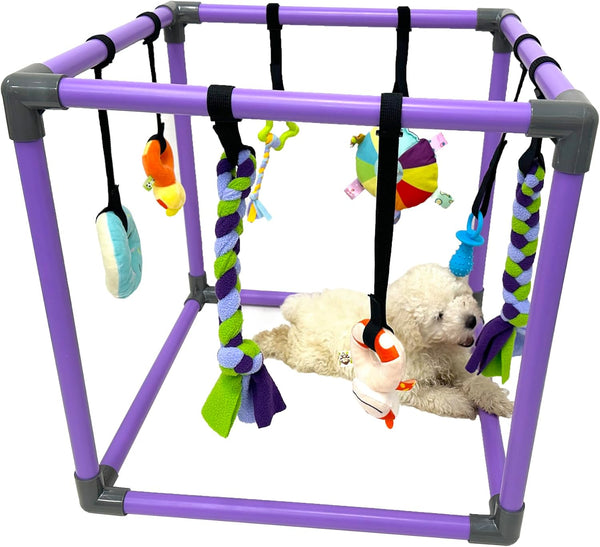 DOZZOPET Puppy Play Gym for Small Dogs with 8 Hanging Toys, Jungle