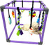 DOZZOPET Puppy Play Gym for Small Dogs with 8 Hanging Toys, Jungle