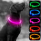 HIGO LED Dog Collar, USB Rechargeable Light Up Dog Necklace, Waterproof Glow in The Dark for Night Walking