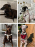 ARING PET Adjustable Heavy Duty Velvet No Pull Dog Halter Harness for Small to Large Dogs