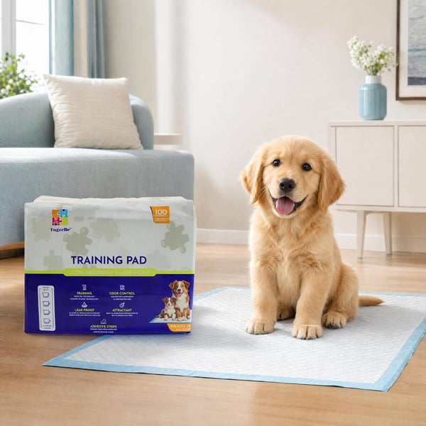 Dog Training Pads 23 x 23 Leak-Proof, Super Absorbent Puppy Pads with