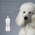 BioSilk for Dogs Silk Therapy Detangling Dog Shampoo | Sulfate Free and Paraben Free Shampoo for All Adult Dogs, Beige
