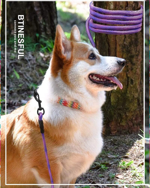 BTINESFUL Dog Tie-Out Long Tether Rope Leash, 8ft/12ft/20ft/30ft/50ft/75ft for Large Medium Small Dogs, Outdoor