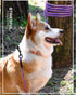 BTINESFUL Dog Tie-Out Long Tether Rope Leash, 8ft/12ft/20ft/30ft/50ft/75ft for Large Medium Small Dogs, Outdoor