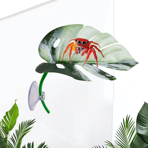 Generic Reptile Jumping Spider Toy, Realistic Leaf Shape Hermit Crab Accessory, Spider House Decor for Terrarium
