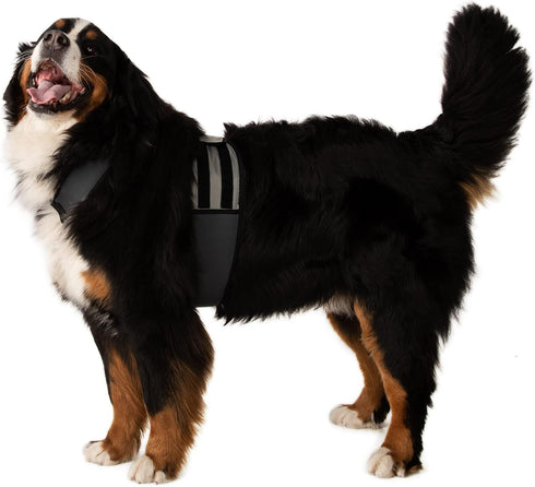 Dog Cooling Vest and Cooling Collar - Ice Vest for Dogs (XL)