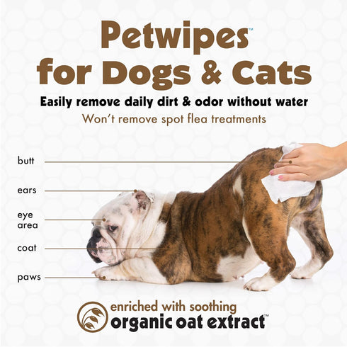Petkin Pet Wipes for Dogs and Cats, Oatmeal, 100 Wipes, Soothes Itchy Skin, Cleans Ears, Face, Body