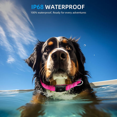 Upgraded AirTag Dog Collar, IP68 Waterproof Holder, Reflective Heavy Duty Padded Collars for Small Medium Large Dogs
