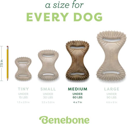 Benebone Medium Dental Durable Dog Chew Toy for Aggressive Chewers, Real Bacon, Made in USA