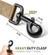 OutdoorMaster Bungee Dog Leash, Heavy Duty Leash with Shock Absorption, 2 Padded Handles for Improved Safety and