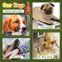 4 Pet(8.6 Pcs Rubber Squeaky Chicken Dog Toys Funny Latex Screaming Interactive Pet Squawkers Cute Dog Gifts