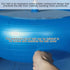 VercanMonth 40 Inch Giant Herding Ball with Ball Cover Anti Burst Please Watch VCR for How to Inflation Horse Toys