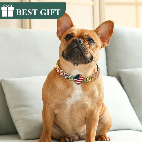 Gold Chain Dog Collars with Personalized Diamond - Cuban Link 19MM Heavy Duty Chew Proof, AirTag Holder (XL: 22"-26")