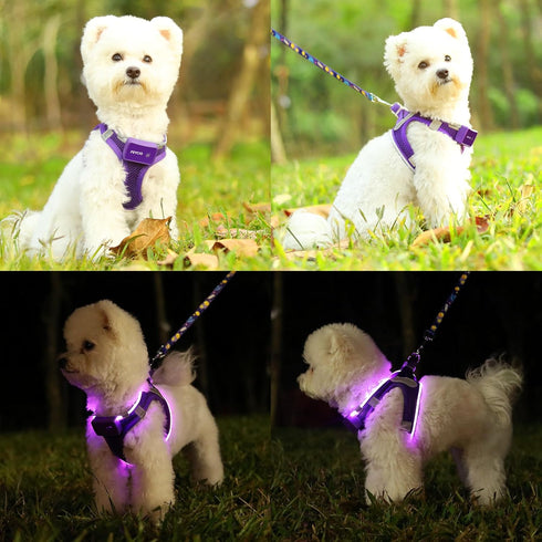 Light Up Dog Harness,Rechargeable LED Dog Harness for Small Medium Large Dogs,Reflective Lighted Safety Vest for Night