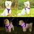 Light Up Dog Harness,Rechargeable LED Dog Harness for Small Medium Large Dogs,Reflective Lighted Safety Vest for Night