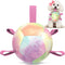 Dog Toys Soccer Ball with Straps, Durable Tug of War Balls, 5 Inch Puppy Birthday Gifts, Dog Water Toy for Small Dogs