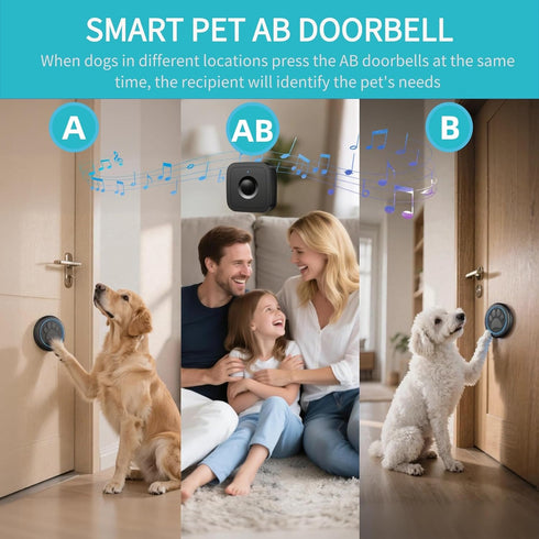 DFQ 2 1 1000 60 Wireless Dog Doorbell for Potty Training to Go Outside, Waterproof Pet Bell with Touch Buttons
