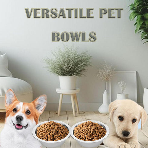 4 Pack Stainless Steel Dog Bowls, 8 Inch Basic Metal Food and Water Dish for Small Large Dogs, Puppy