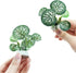 Aquarium Plants, 6.6 Inch Plastic Artificial Plant, Goldfish Stone Cave for Betta Fish Hides/Rest