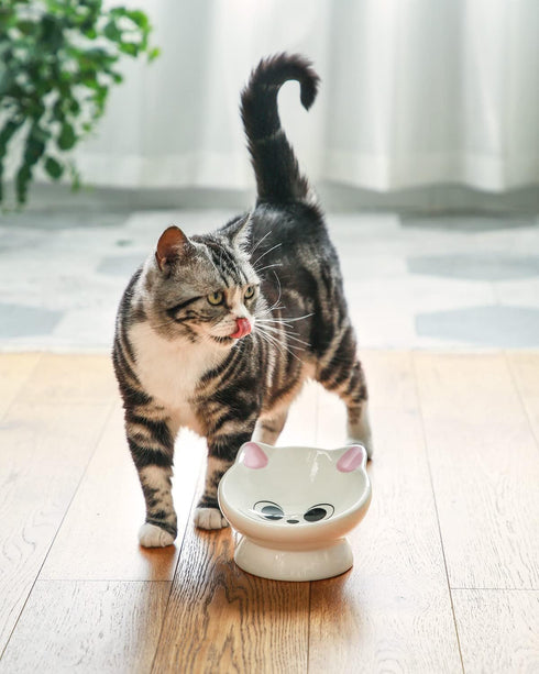 Raised Cat Food Bowl Ceramic - 15° Tilted Bowls for Anti Vomiting, Backflow Prevention for Adult Cats, Pink