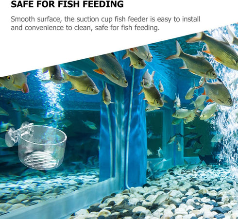 TOYZFRIENDY Acrylic Aquarium Fish and Shrimp Feeder Bowl with Suction Cup Round Fish Tank Feeder for Red Worm Feeding