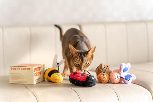 5'', Interactive Catnip Cat Plush Toy, Insect Theme, for All Breed Size Cats (Cockroach)