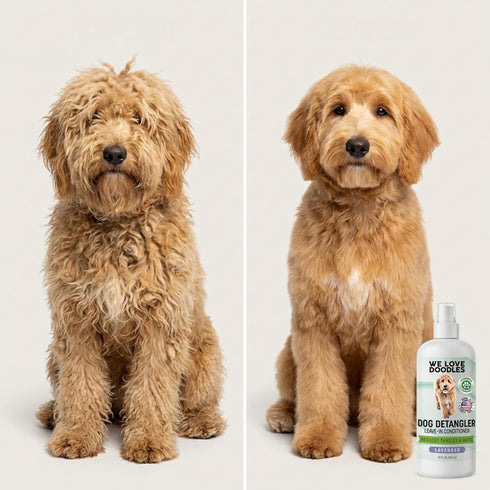 We Love Doodles Dog Detangler Spray - Leave-in Conditioner for Dogs - Dog Detangling Spray - Dematting Spray for Dogs
