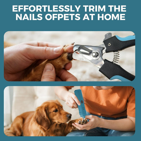 3-Speed Set Trimmer PAPIFEED Dog Nail Grinder with LED Light, Ultra Quiet Electric Nail File for Small Medium Large