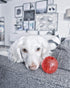 SPOT Play Strong Ball, Durable TPR Dog Toy for Aggressive Chewers, 3.25 inch, Hollow Center for Treats