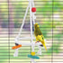 Hypeety Pet Bird Parrot Swing - Hanging Hammock for Parakeets, Budgies, Conures & Quaker Parrots