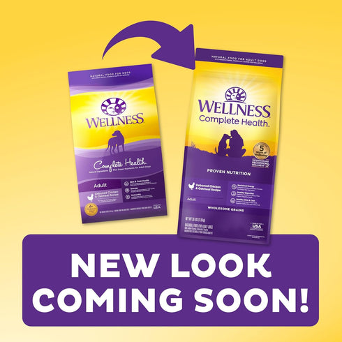 Wellness Complete Health Dry Dog Food with Grains, Natural Ingredients, Made in USA, All Breeds, 5-Pound Bag