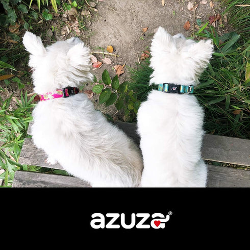 azuza Dog Collar and Leash Set - Cute Patterns on Nylon Collar and Matching Leash for Medium Dogs