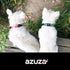 azuza Dog Collar and Leash Set - Cute Patterns on Nylon Collar and Matching Leash for Medium Dogs